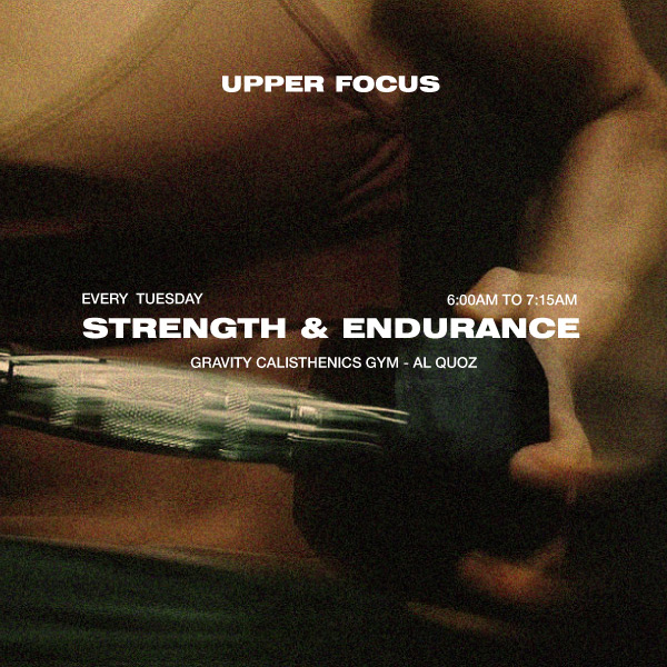 Strength & Endurance — Upper Body