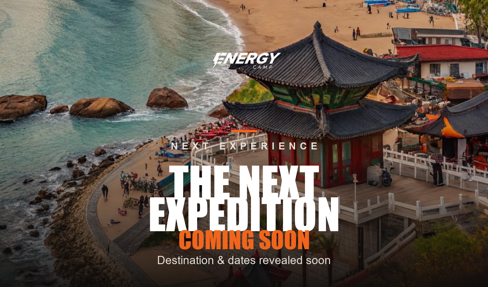 THE NEXT EXPEDITION